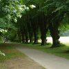Tour 15: Boltenhagen